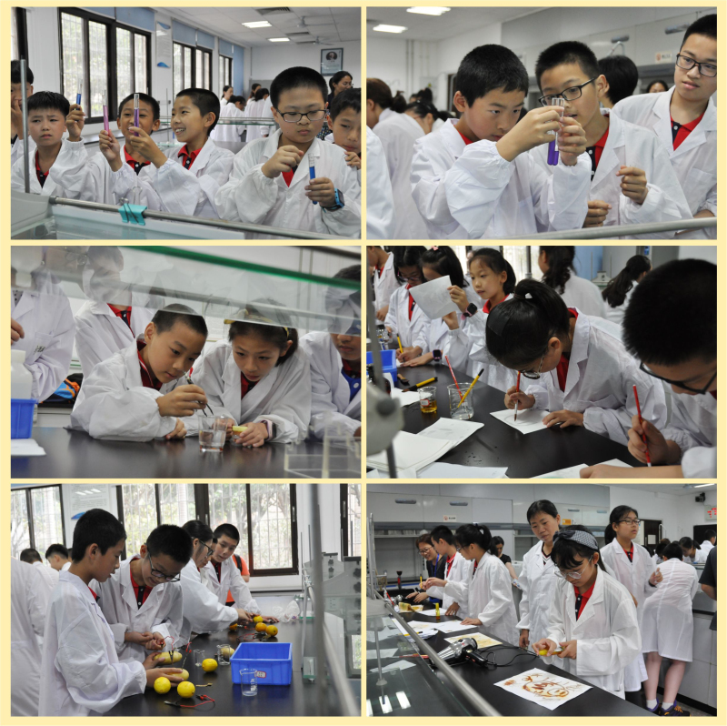 思明小学-4.jpg 思明小学-4.jpg